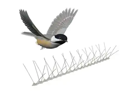 Bird Control