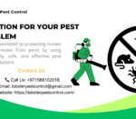 SOLUTION FOR YOUR PEST PROBLEM