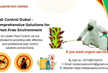 Pest Control Dubai -Comprehensive Solutions for a Pest-Free Environment