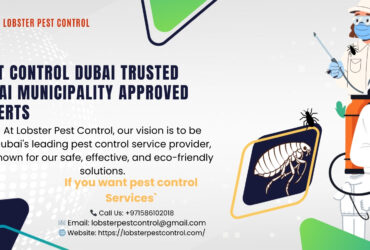 PEST CONTROL DUBAI TRUSTED DUBAI MUNICIPALITY APPROVED EXPERTS