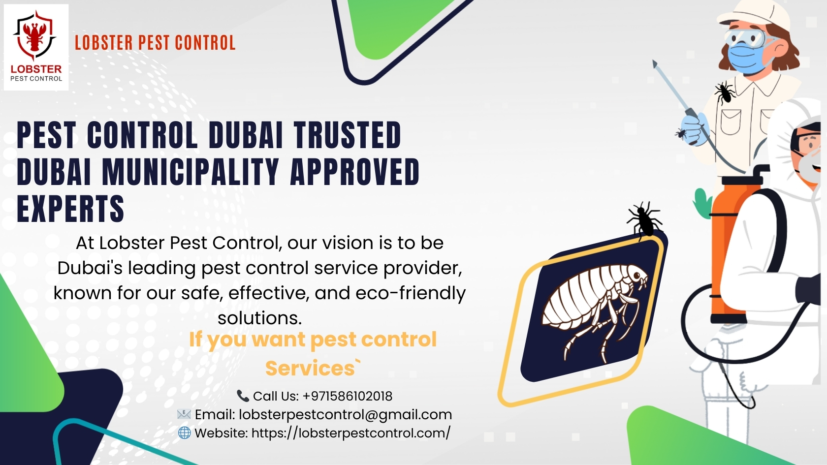 PEST CONTROL DUBAI TRUSTED DUBAI MUNICIPALITY APPROVED EXPERTS