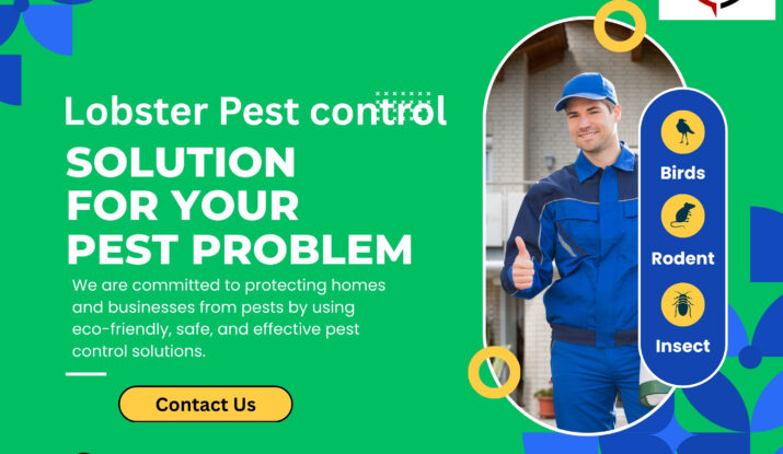Affordable 24/7 Pest Control Services