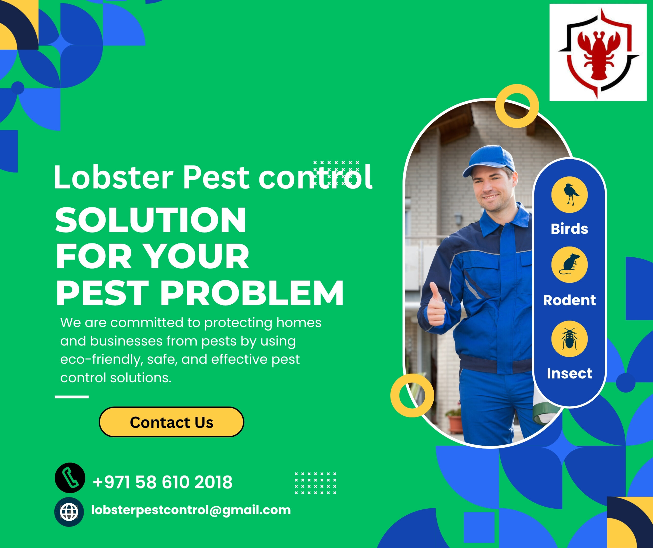 Affordable 24/7 Pest Control Services