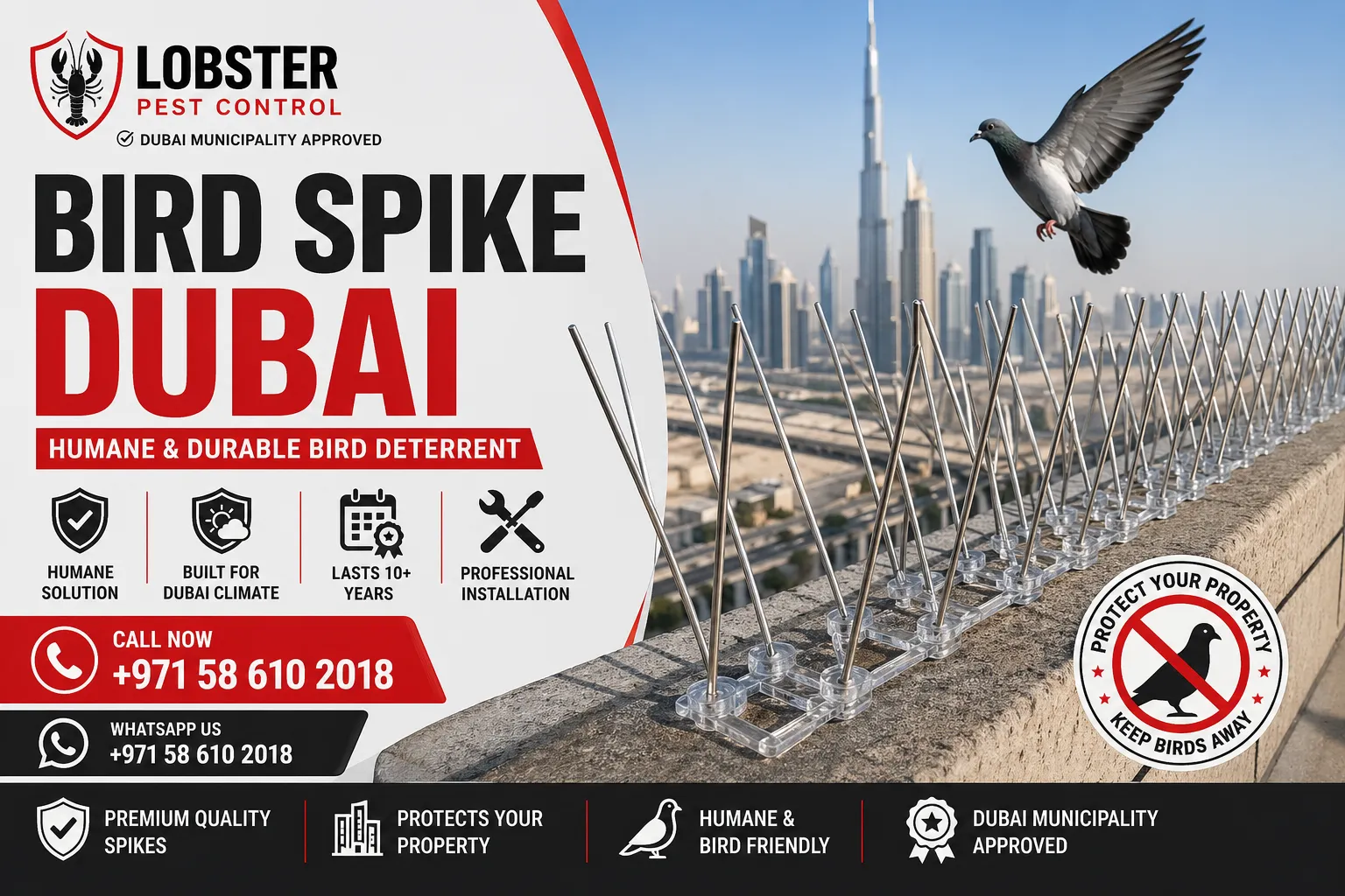 pigeon spike Dubai