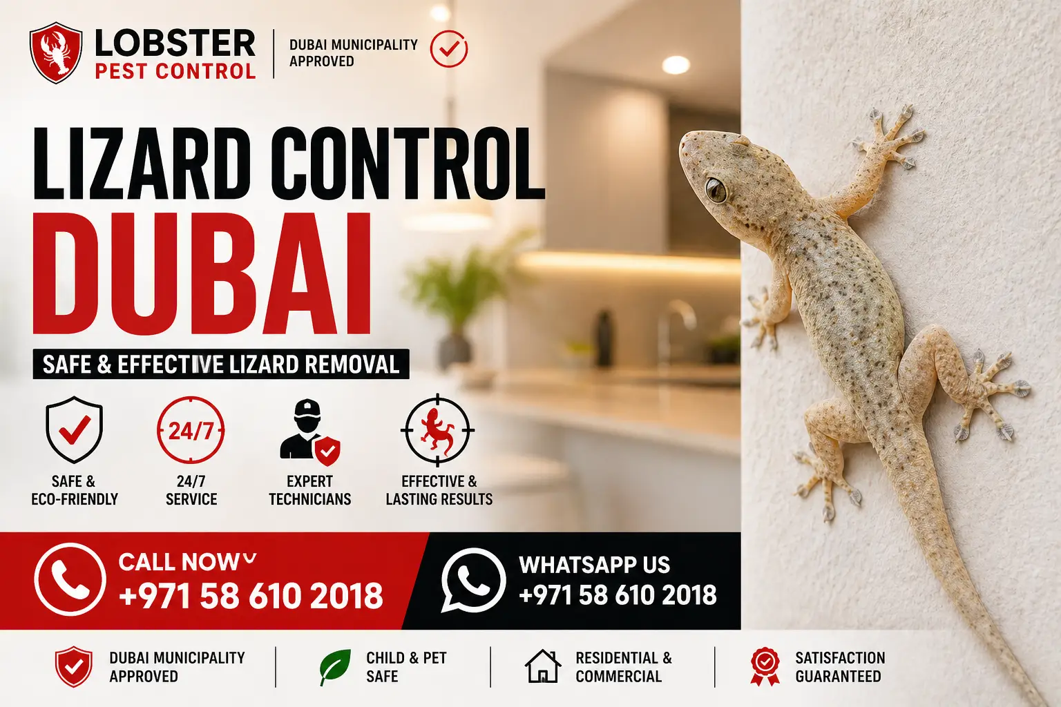lizard control Dubai