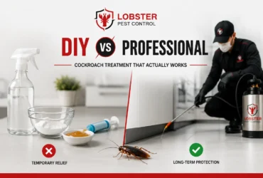 DIY vs Professional Cockroach Treatment
