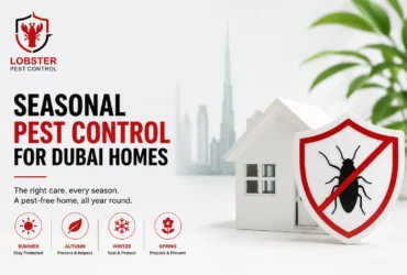 Home Pest Control Dubai A Season-by-Season Checklist