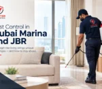 Pest Control in Dubai Marina & JBR by lobster pest control guide how can manage pest control