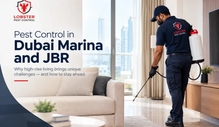 Pest Control in Dubai Marina & JBR by lobster pest control guide how can manage pest control